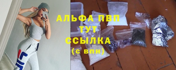 амф Вязьма