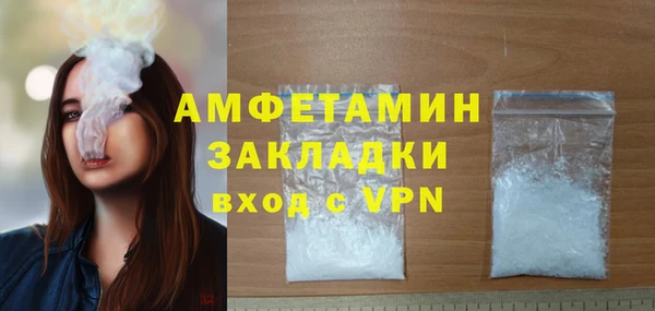 индика Вязники