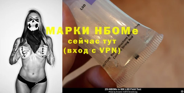 индика Вязники