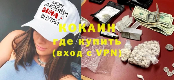 индика Вязники