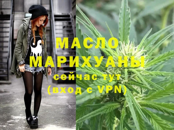 индика Вязники