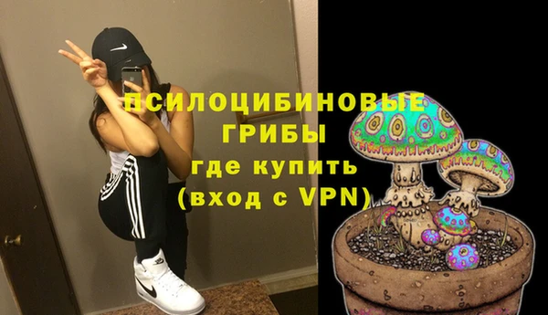 2c-b Вяземский