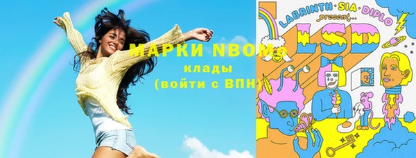 индика Вязники