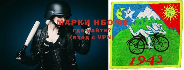 индика Вязники